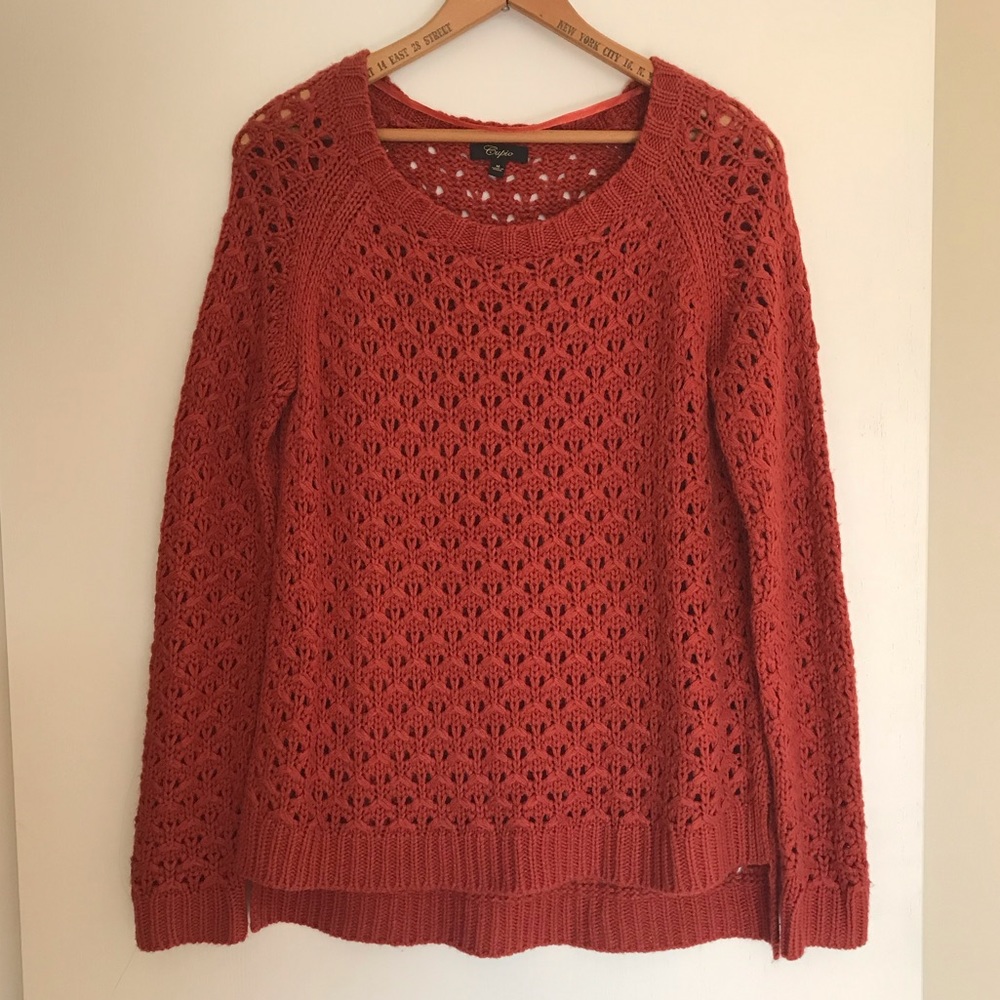 Cupio Rust Color Pullover Sweater
